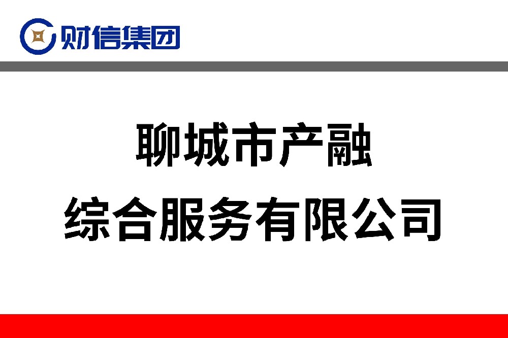 聊城市产融综合服务有限公司